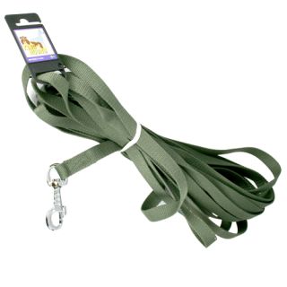 Polyesterkoppel med karbinhake, grön, 20 mm x 10 meter