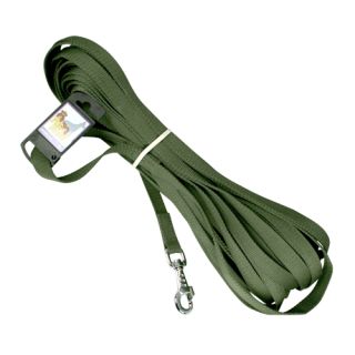 Polyesterkoppel med karbinhake, grön, 20 mm x 15 meter