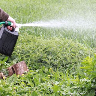 Ejektorspridare 2,5 L-spädning 1:20-för järnsulfat och gödning med vattenslang