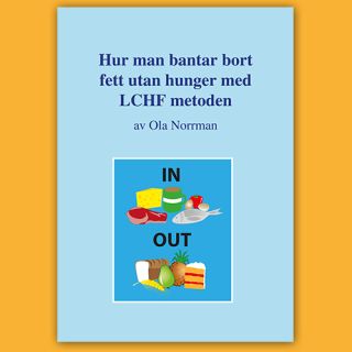 Hur man bantar bort fett utan hunger BOK