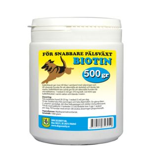 DS Biotin 500 gram